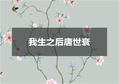 我生之后唐世衰