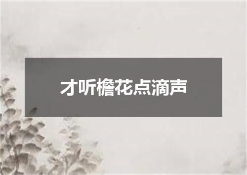 才听檐花点滴声