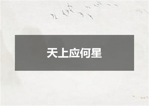 天上应何星