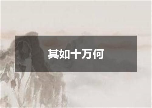 其如十万何