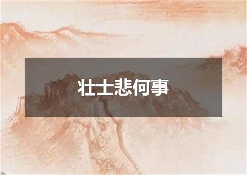 壮士悲何事