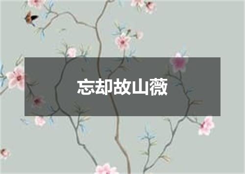 忘却故山薇