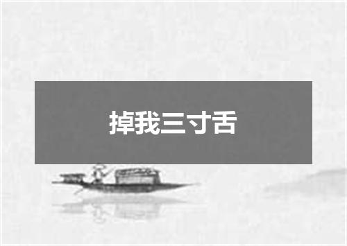 掉我三寸舌