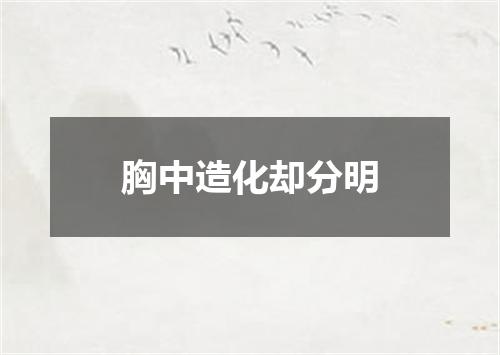 胸中造化却分明