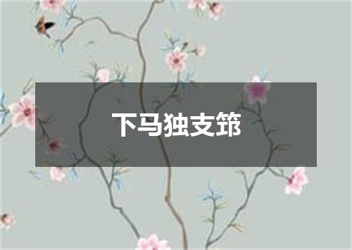下马独支筇