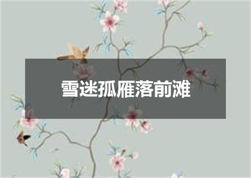雪迷孤雁落前滩