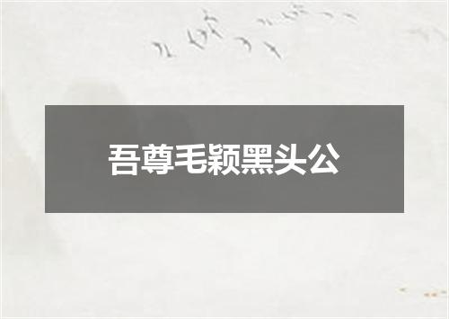 吾尊毛颖黑头公