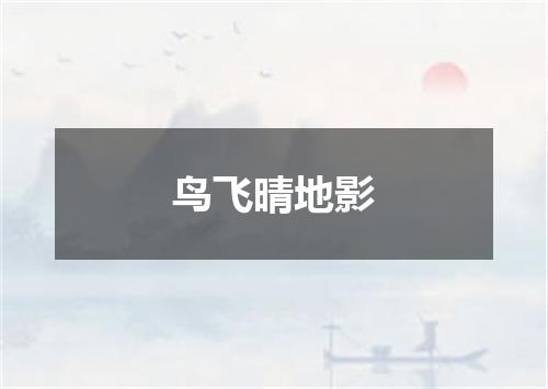 鸟飞晴地影