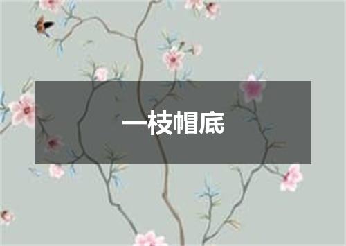 一枝帽底