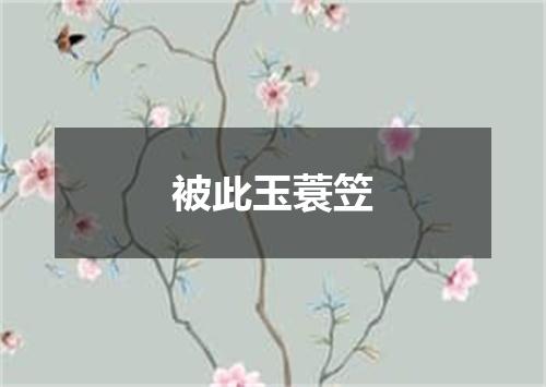 被此玉蓑笠