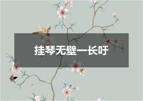 挂琴无壁一长吁
