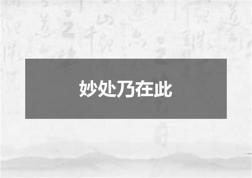 妙处乃在此