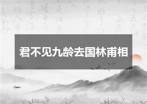 君不见九龄去国林甫相