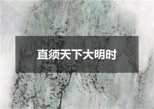 直须天下大明时