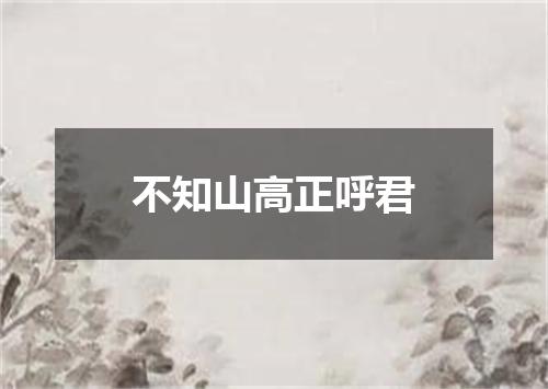 不知山高正呼君
