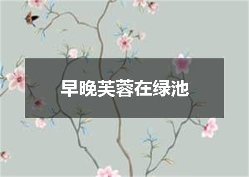 早晚芙蓉在绿池