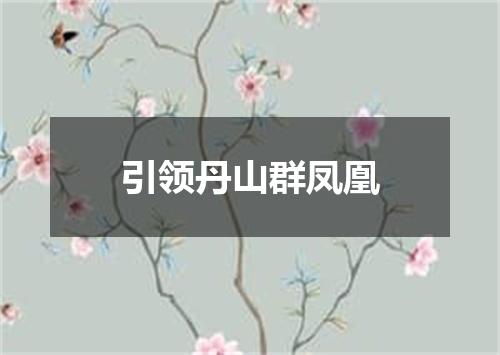 引领丹山群凤凰