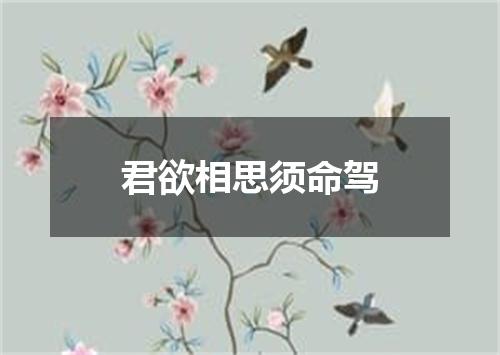 君欲相思须命驾