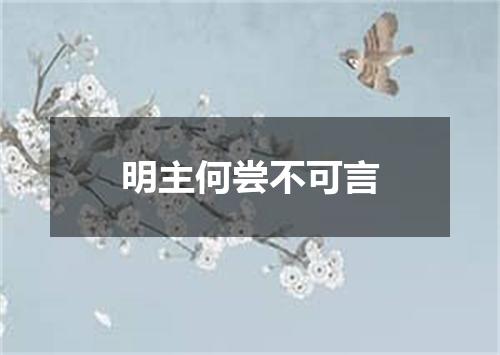 明主何尝不可言
