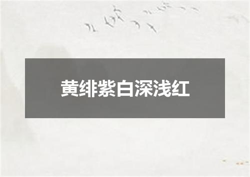 黄绯紫白深浅红