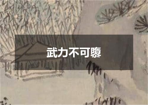 武力不可隳