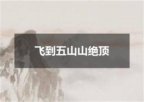 飞到五山山绝顶