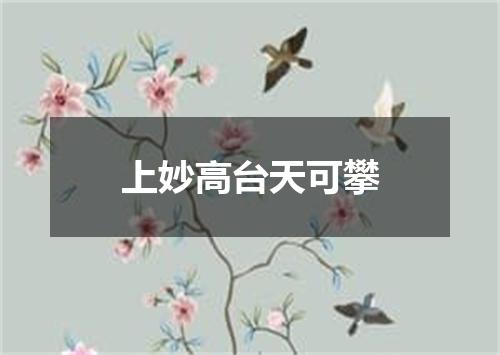 上妙高台天可攀