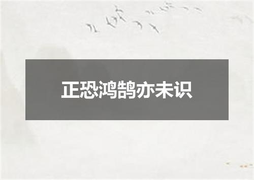 正恐鸿鹄亦未识