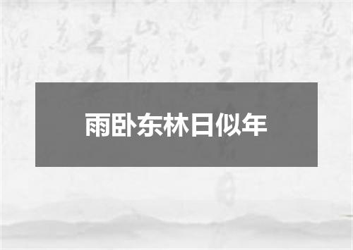 雨卧东林日似年