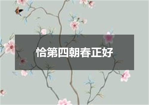恰第四朝春正好