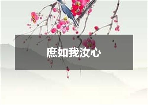 庶如我汝心