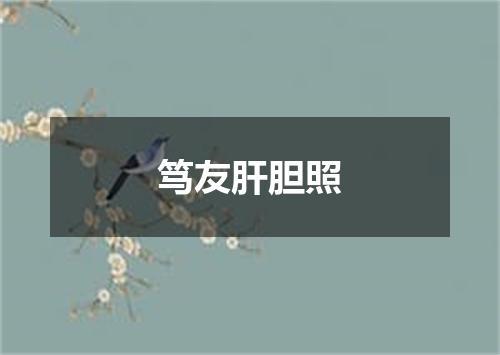 笃友肝胆照