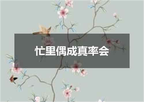 忙里偶成真率会