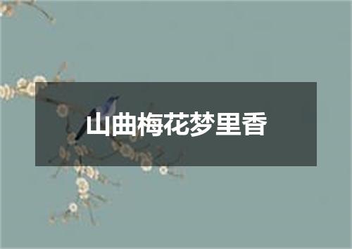 山曲梅花梦里香