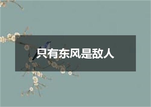 只有东风是敌人