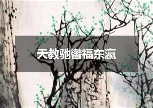 天教驰辔福东瀛