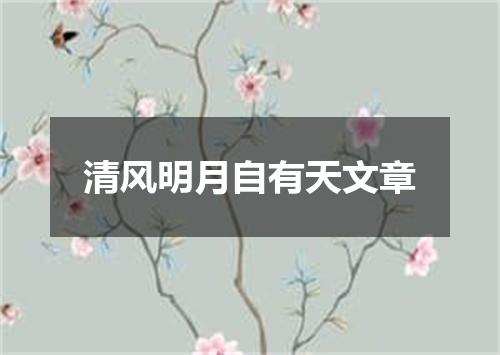 清风明月自有天文章