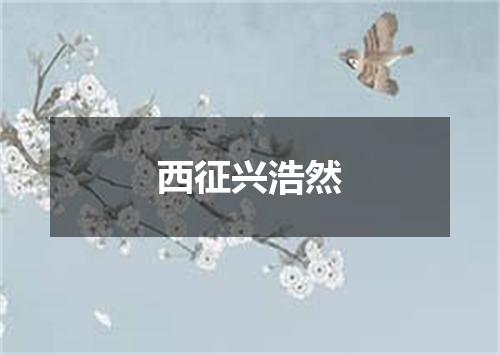 西征兴浩然