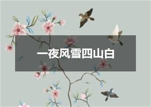 一夜风雪四山白