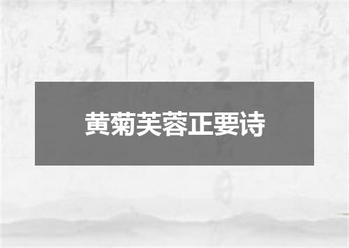 黄菊芙蓉正要诗