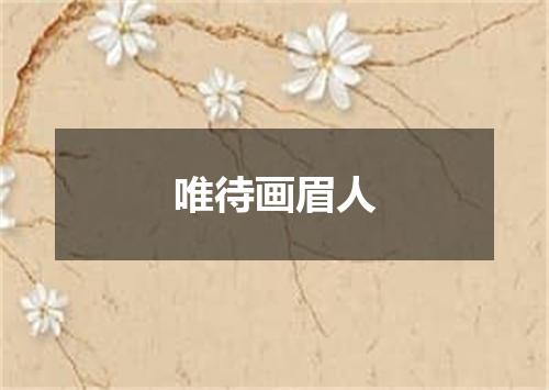 唯待画眉人