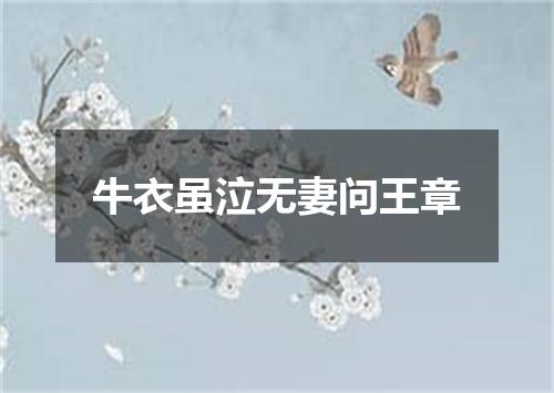牛衣虽泣无妻问王章