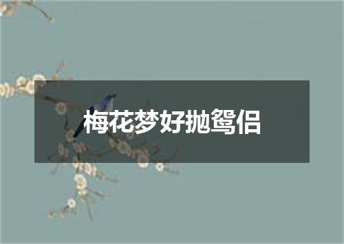梅花梦好抛鸳侣