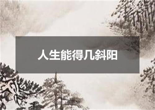 人生能得几斜阳