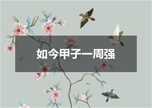 如今甲子一周强