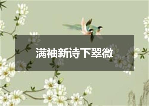 满袖新诗下翠微
