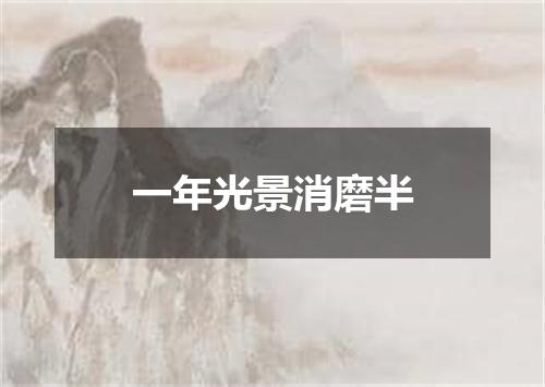 一年光景消磨半