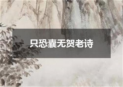 只恐囊无贺老诗