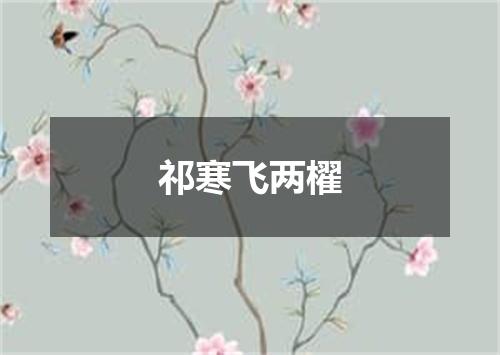 祁寒飞两櫂
