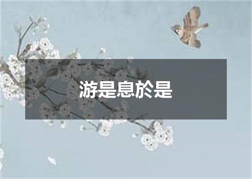 游是息於是